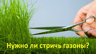 Нужно ли стричь газоны? Правильный газон(, 2016-06-28T17:05:25.000Z)