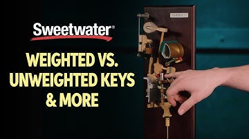 Weighted vs Unweighted Keys & More 🎹 | Keyboard Lesson