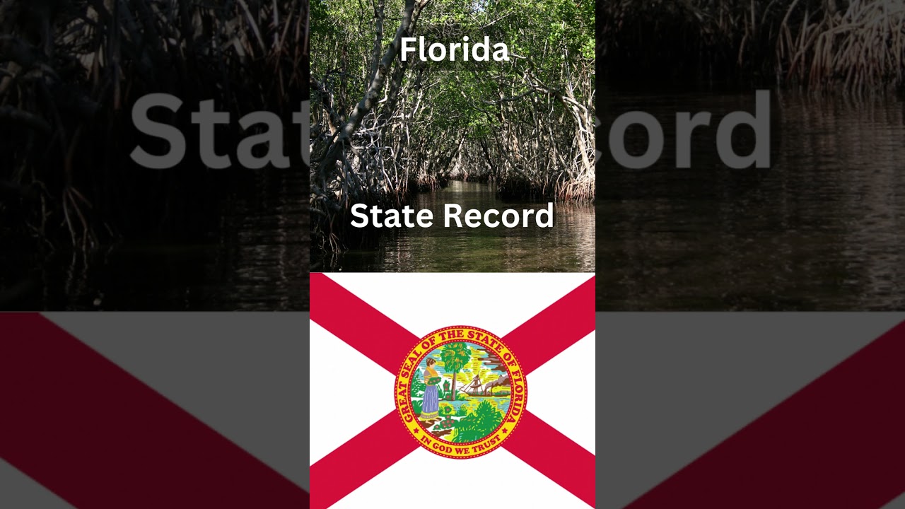 What is the Florida State Record Largemouth Bass?