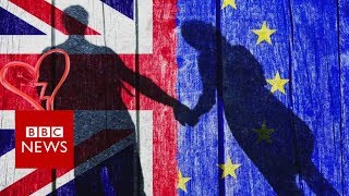 Bamboozled by Brexit? - BBC News