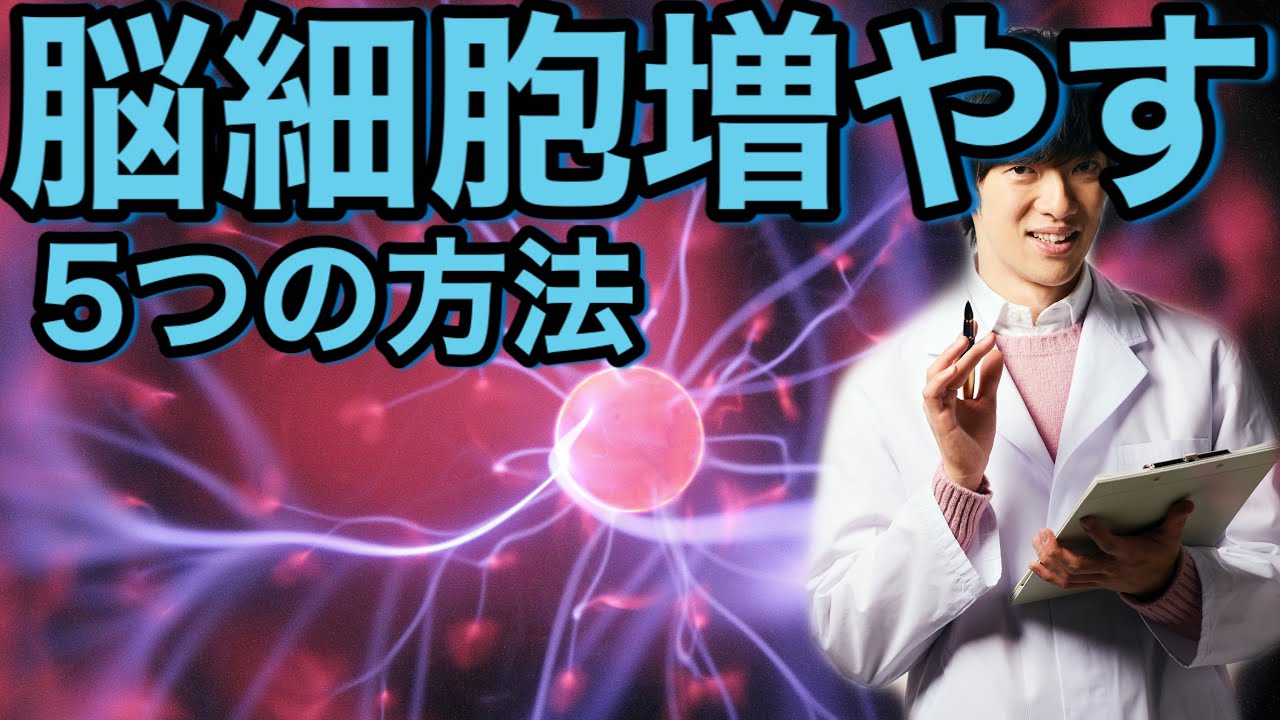 大人でも間に合う【脳細胞の増やし方】