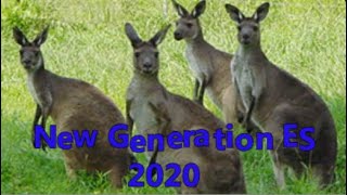 New generation server ES 2020 l Transformice