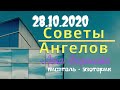 28 октября 2020/Советы Ангелов/Лена Воронова