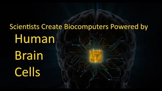 Living Computers: Scientists Create Biocomputer Powered by Brain Cells | Future of AI & Neuroscience