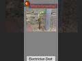 What is Earthing? #Earthing #electricircuit #electricalwork #electricaltips #shorts