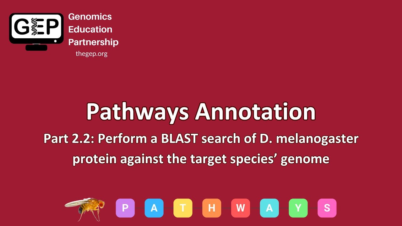 GEP | Pathways Gene Annotation Part 2.2 - Perform a BLAST search of D. melanogaster protein