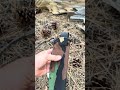 Bill Siegle Bowie #review #bushcraft #tool #survival #blade #collector #bowie #outdoors
