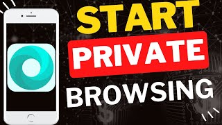 How to Turn On Incognito Mode at Startup in Mint Browser Moblie screenshot 5