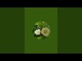 7/1일 대판 전쟁 비상실방 햇살 솜이 🌺 heasal some 🌺  라이브 스트리밍 중
