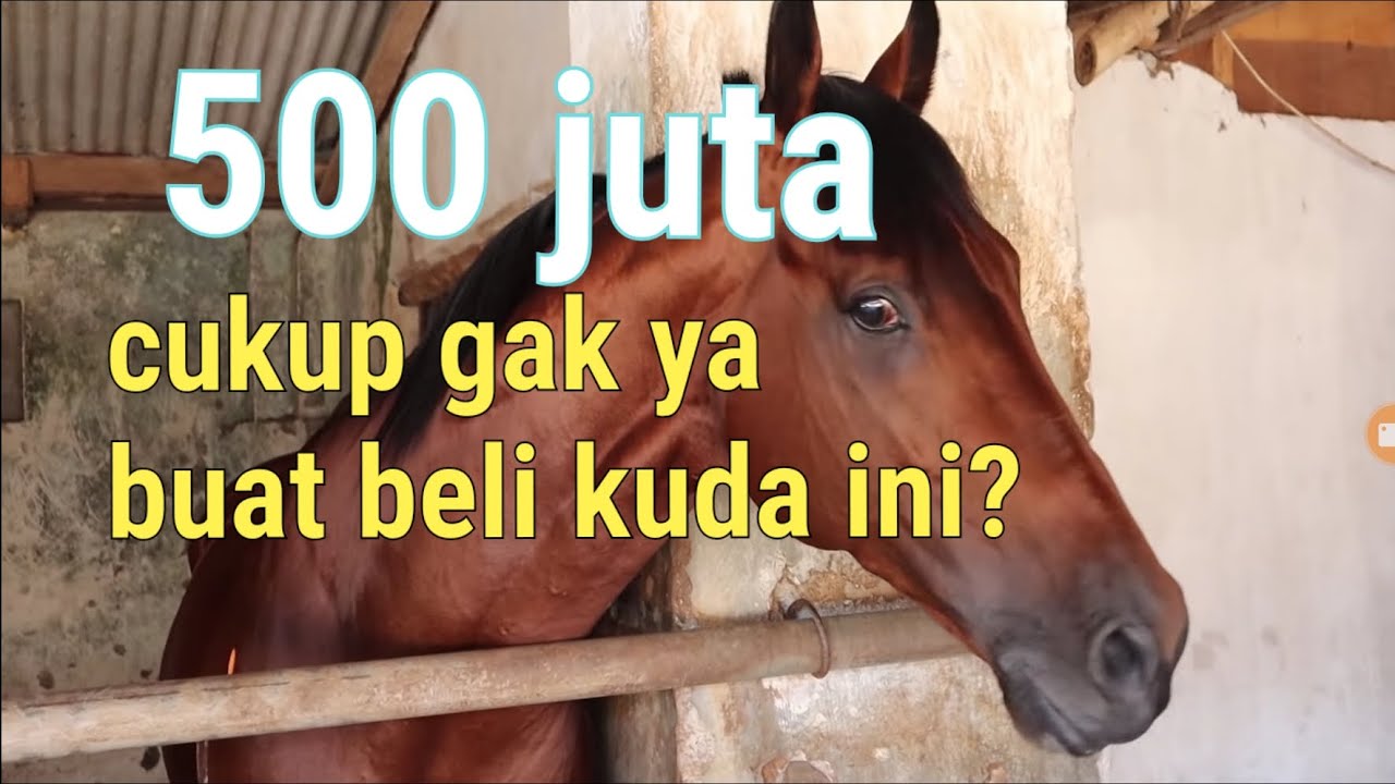 Kuda Tunggang nan Gagah