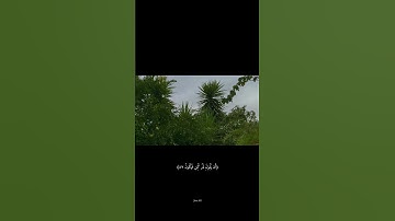 تلاوة تشرح الصدر ❤️‍🩹