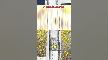 Sa mạc nở hoa? | NamKhamPha | Khám phá những sự thật thú vị mà có thể bạn chưa biết.