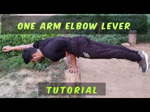 One arm Elbow lever tutorial | progressions and tips