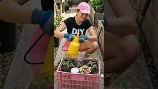 Grow Tons of Tomatoes in a Plastic Crate! 🍅 | Zero-Waste Crate Garden & Organic Hacks