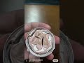 史上最拉跨的韩国爱敬气垫同款画花精华出水 虽然密封性没有做好 但是整体的观察的效果 精华和含水量都是杠杠的 目前的整体的肤感 状态 配方稳定性都良好 不影响使用 依旧使用起来比较水润和轻薄 史上最拉跨的韩国爱敬气垫同款画花精华出水 虽然密封性没有做好 但是整体的观察的效果 精华和含水量都是杠杠的 目前的整体的肤感 状态 配方稳定性都良好 不影响使用 依旧使用起来比较水润和轻薄