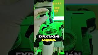 Mensaje 14 De Febrero | Biología Desde Cero