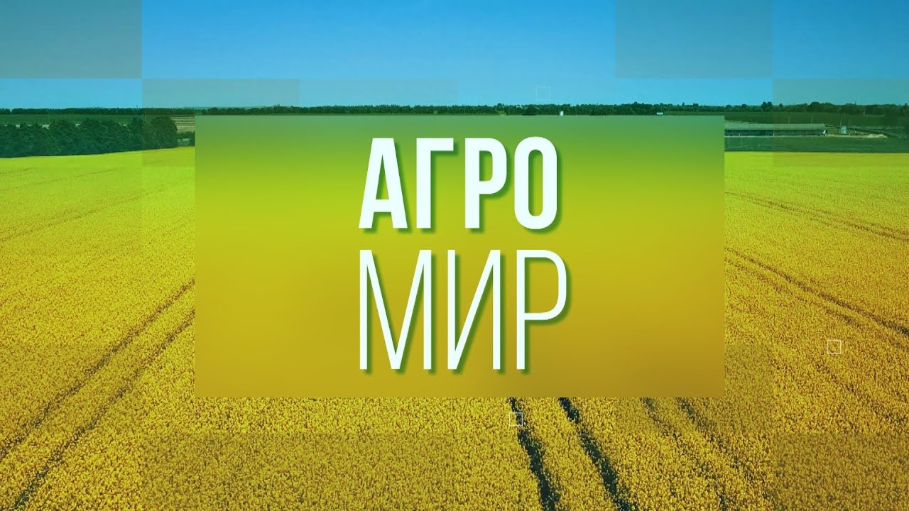 Кто он, лучший руководитель АПК