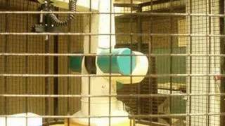 CataLyst-5 Robot in action w/ new software