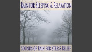 Soothing Rain for Sleep