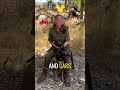 Soldier + Dog = best friends🐾