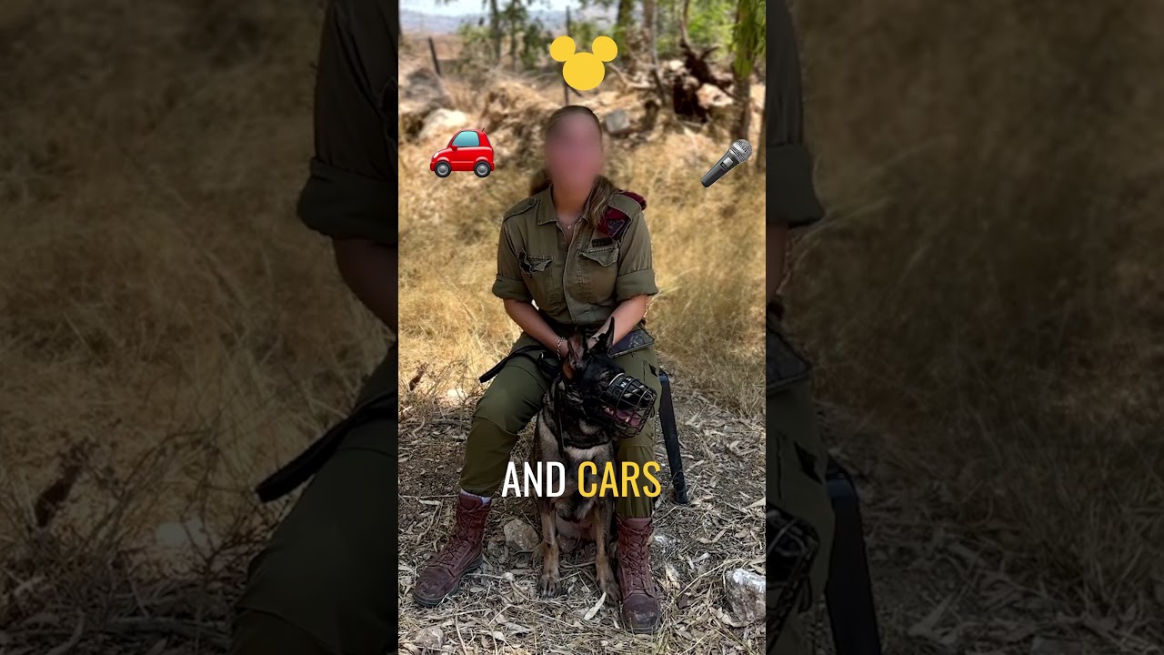 Soldier + Dog = best friends🐾