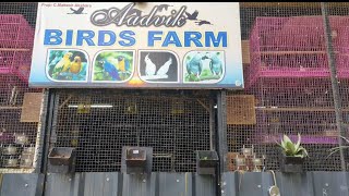 Cages And Accessories For Sales