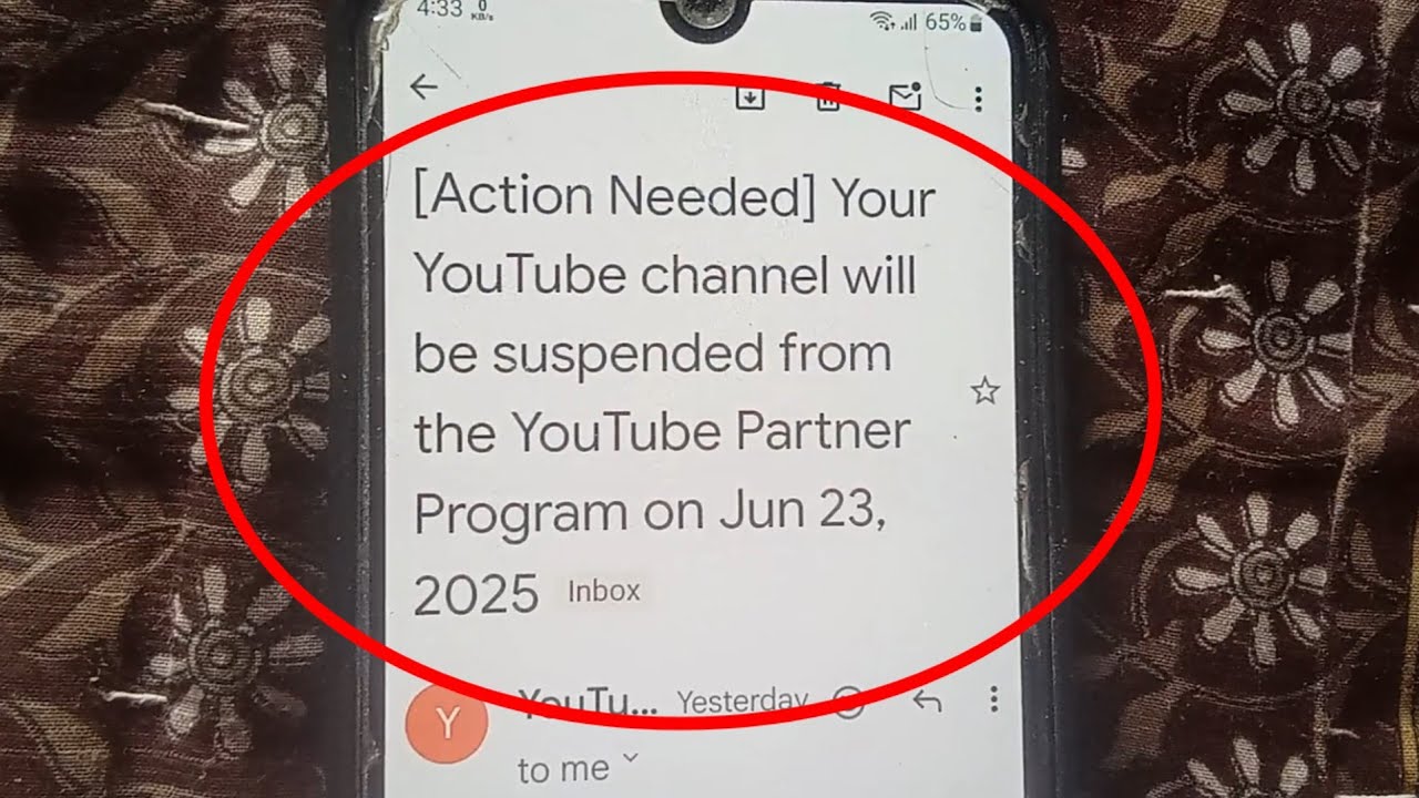 Your youtube channel will be suspended from the youtube partner program ...