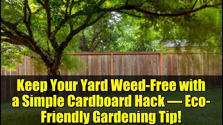 Keep Your Yard Weed-Free with a Simple Cardboard Hack – Eco-Friendly Gardening Tip!
