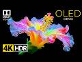 True HDR colors 🌈 4K Mind-Blowing Visuals In Dolby Vision IMAX