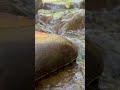 Relaxing water sound #naturelovers #relaxing #sleepmusic #california #relaxingsounds #sleep #america
