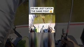 Famous DID WE JUST CATCH THE SAME FISH?  #fishing #bassfishing #funny #shorts Net Worth