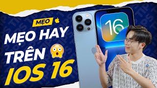Mẹo hay trên iOS 16 bạn nhất định phải thử! | Thế Giới Di Động screenshot 3