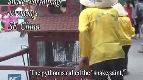 Vì sao người Trung Quốc thờ rắn?