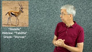 19. Aeneas & Dorcas (Acts 9:31-43)