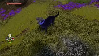 [Les Secrets de Fable 2] - le chien fantôme (Easter egg)