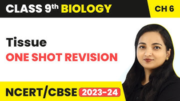 One Shot Revision - Tissues | Class 9 Biology Chapter 6 | 2023-24
