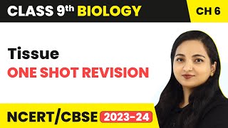 Tissues Rivision - One Shot | Class 9 Biology