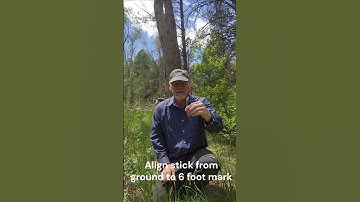 Bushcraft Survival Skill:  Estimating Tree Height