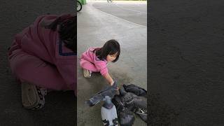 3yrs old feeding pigeons in the park