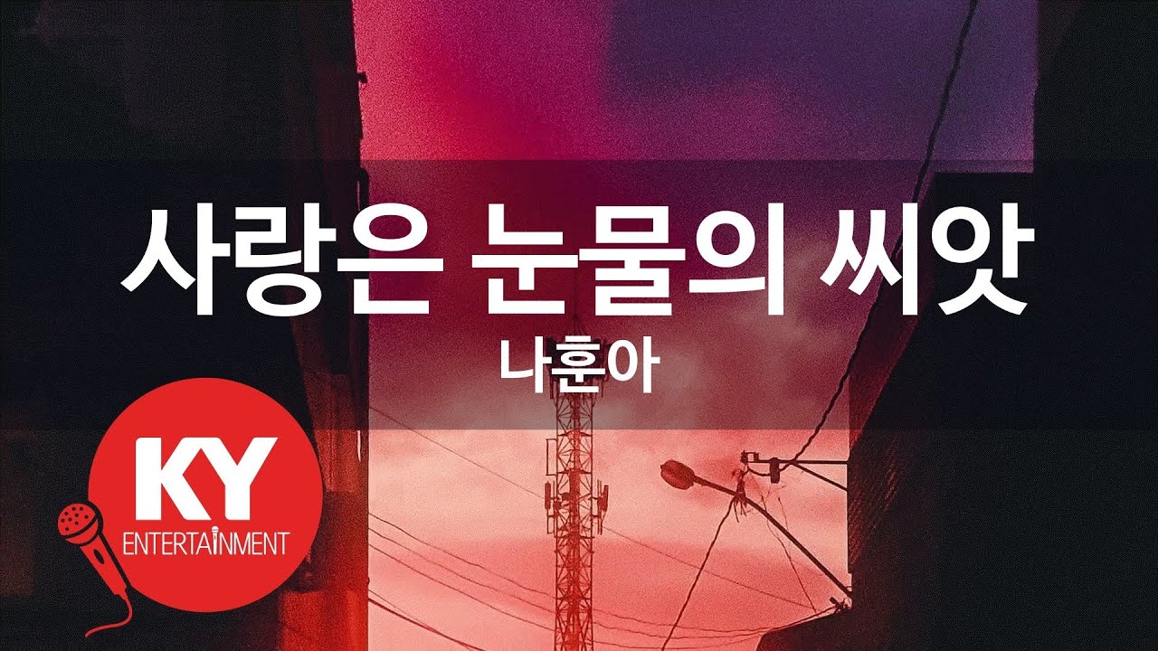 [KY ENTERTAINMENT] 사랑은 눈물의 씨앗 - 나훈아 (KY.446) / KY Karaoke