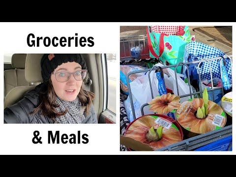 Groceries and Meal Plan