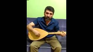 Metin Temiz - Gitti Çifte Yavrularım Galmadi