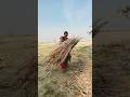 #चूल्हे पर खाना