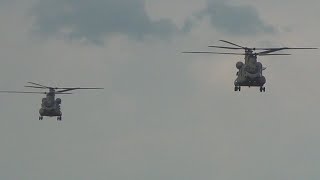Dutch Army Chinooks Low Pass and Landing at Ginkelse Heide.