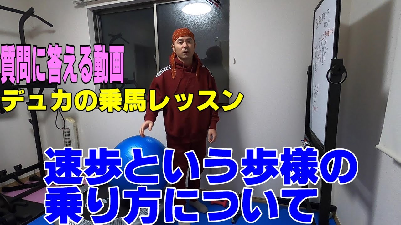 【乗馬】速歩という歩様の乗り方について【速歩】