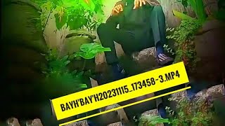 Bayh'bay'h20231115_173458~3.mp4