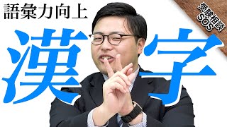 思わぬ盲点に注意！！「漢字を勉強していますか？」現代文の成績に直結した漢字の重要性！｜受験相談SOS