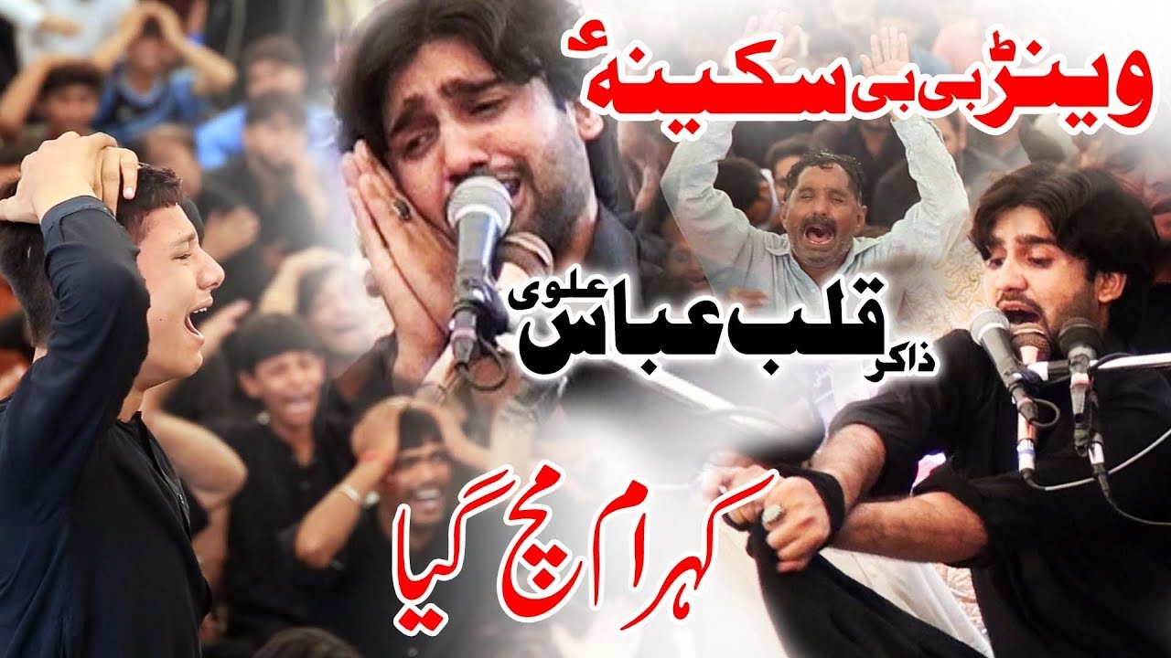 Zakir Qalab Abbas Alvi 15 Safar 1441 Hejri 2019 Gujranwala