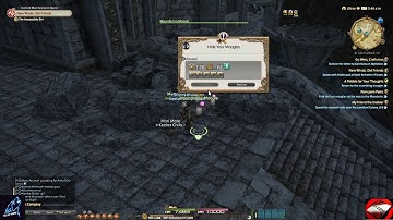 FFXIV - Hide Your Moogles (Side Quest Lvl 54)