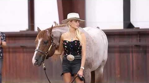 Full Recap of the VS Dispersal Sale